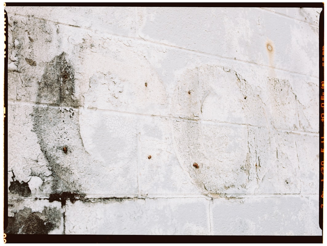 Water Extraction service in Hoffman Estates, IL