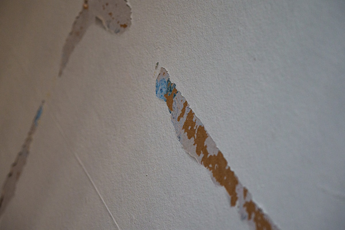 Mold Remediation service in Hoffman Estates, IL