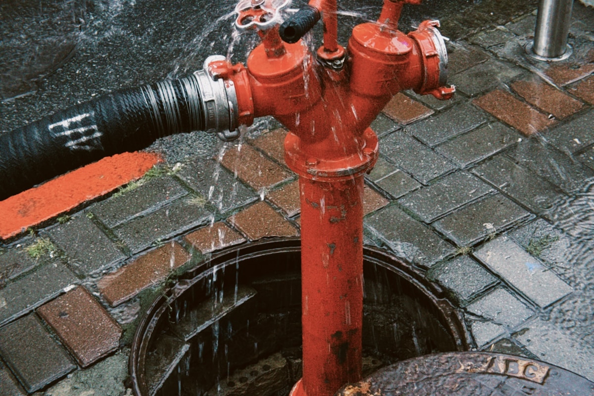 Flood Cleanup service in Hoffman Estates, IL